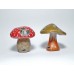 Mushroom Duo Kit,  Fungii Fun